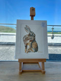 Sheba Jones Dillon - The Healing Hare