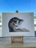 Sheba Jones Dillon - The Atlantic Seal